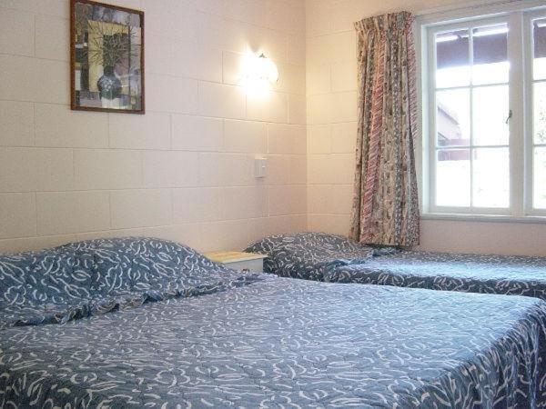 Browns Bay Olive Tree Motel & Apartment Okura Bush Chambre photo