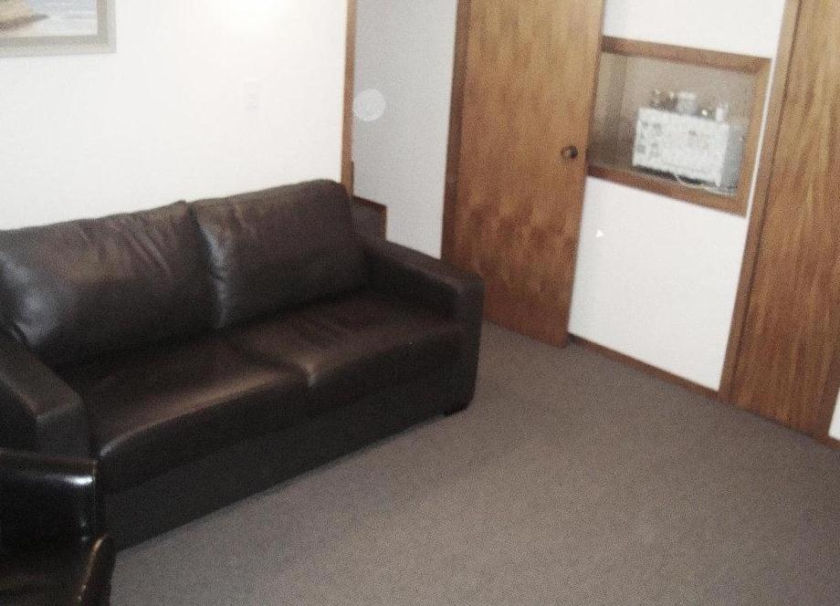 Browns Bay Olive Tree Motel & Apartment Okura Bush Chambre photo