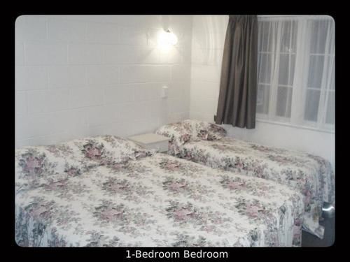 Browns Bay Olive Tree Motel & Apartment Okura Bush Extérieur photo