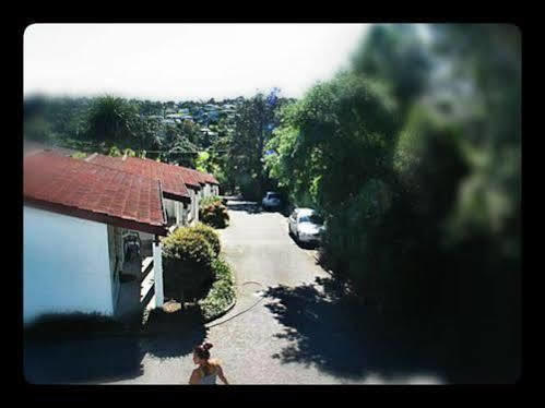 Browns Bay Olive Tree Motel & Apartment Okura Bush Extérieur photo